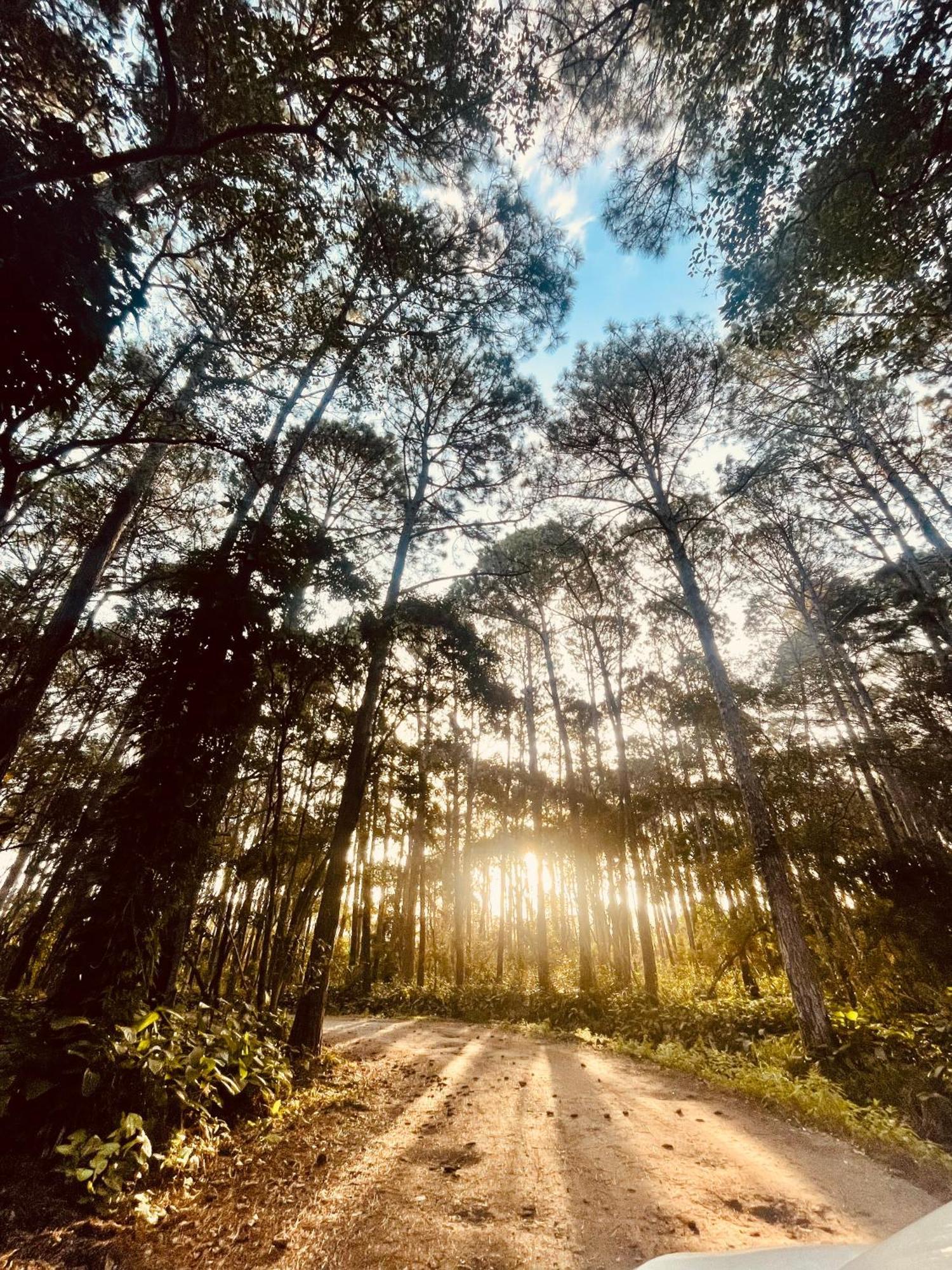 Отель Pousada Ilha Dos Anjos Флорианополис Экстерьер фото